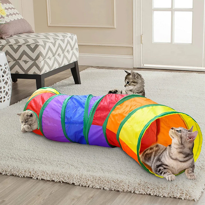 Tunnel de Jeu Interactif pour Chat