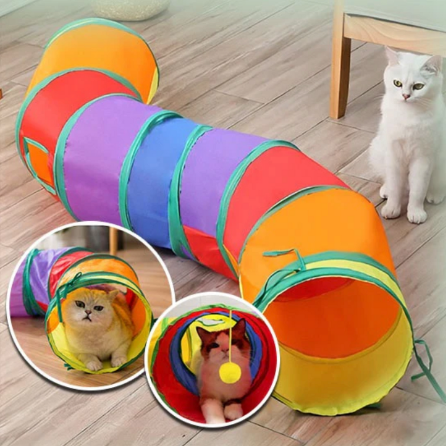 Tunnel de Jeu Interactif pour Chat