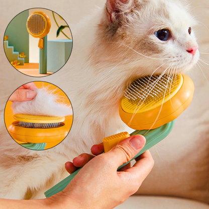 Brosse Auto-Nettoyante