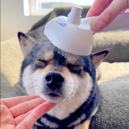 Brosse Vapeur Animaux