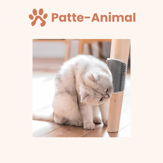 Brosse murale chat