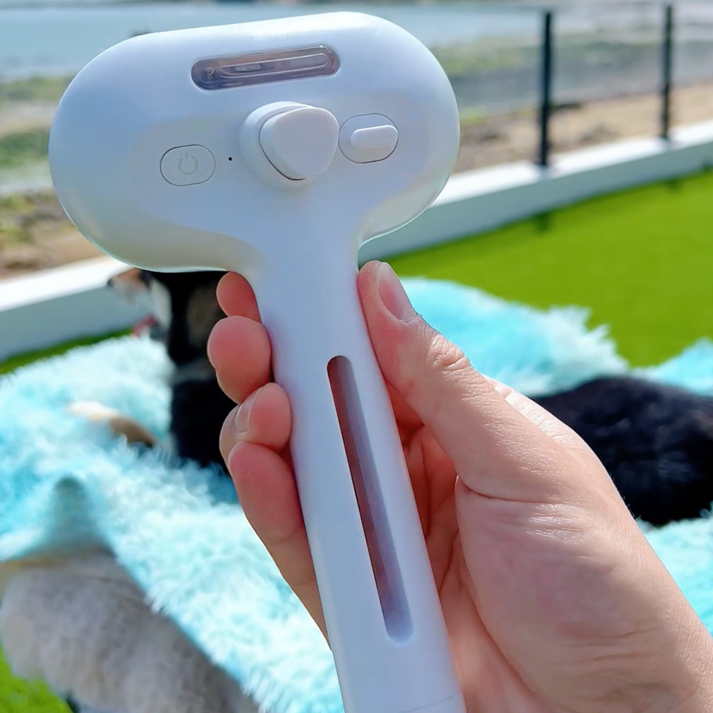 Brosse Vapeur Animaux