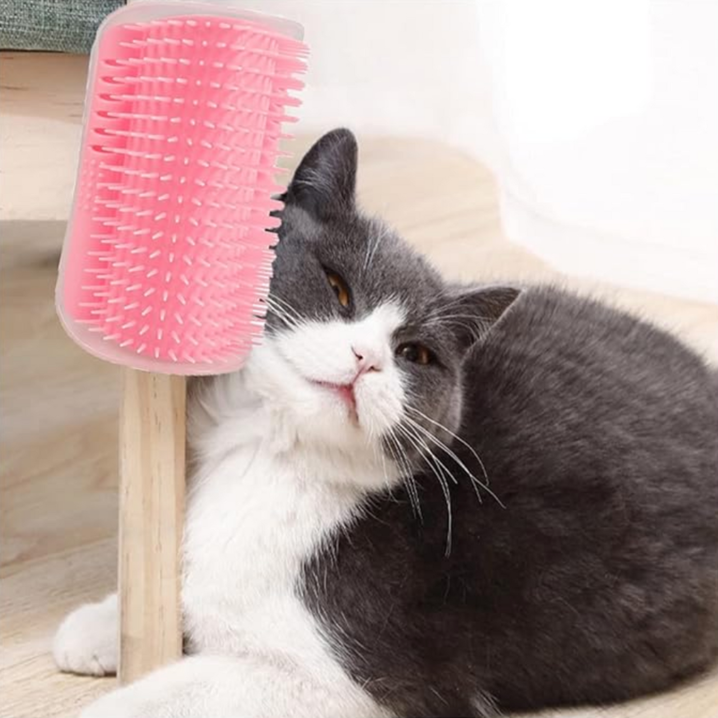 Brosse murale chat