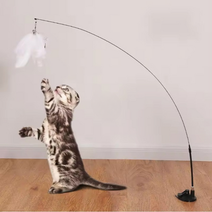 Jouet pour chat - Plume ventouse