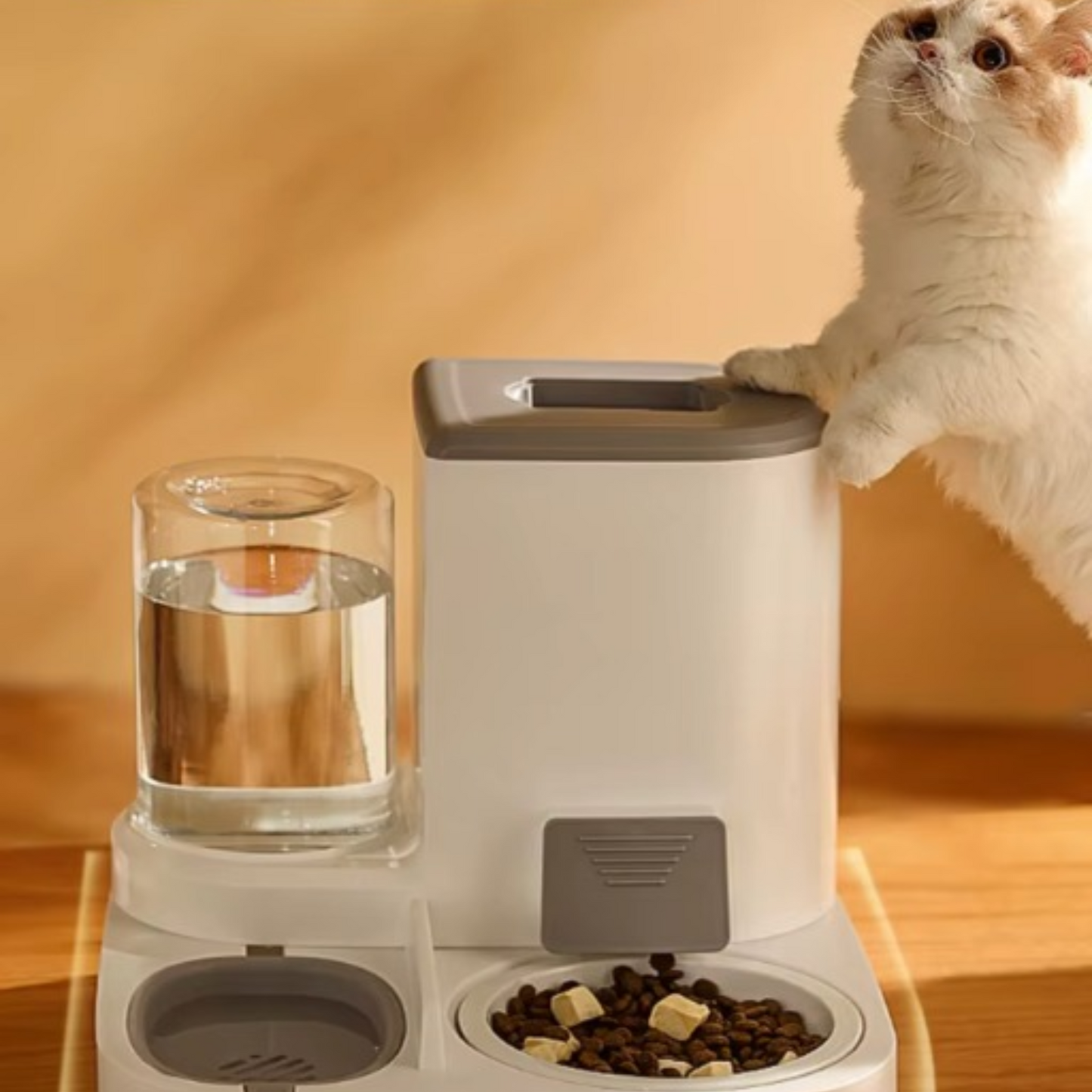 distributeur de croquettes pour chat