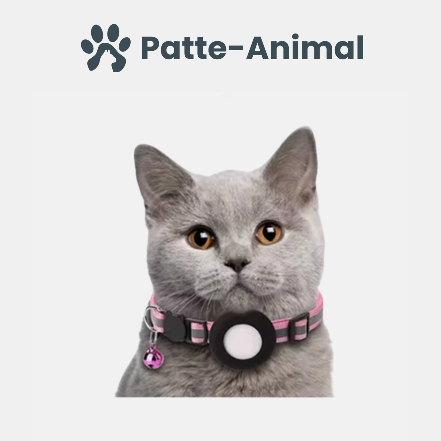 Collier gps chat