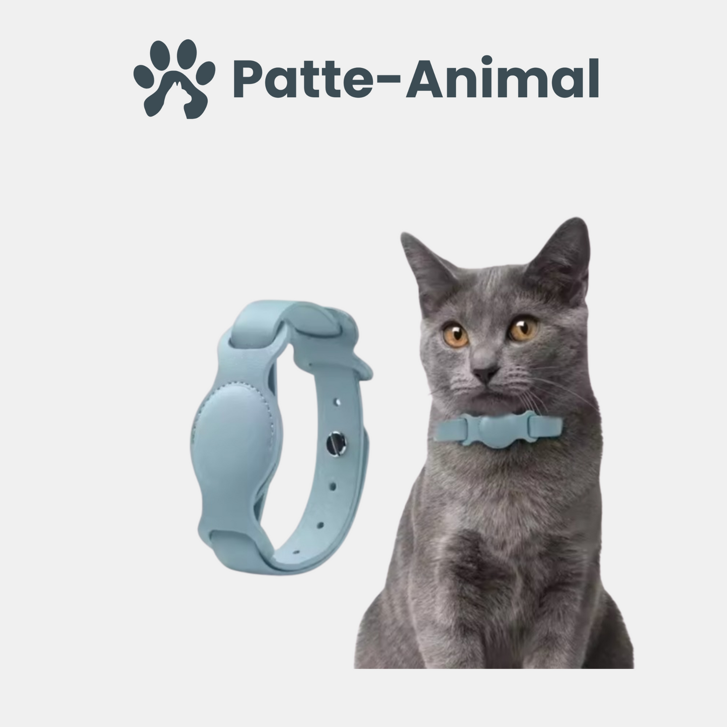 Collier chat Airtag