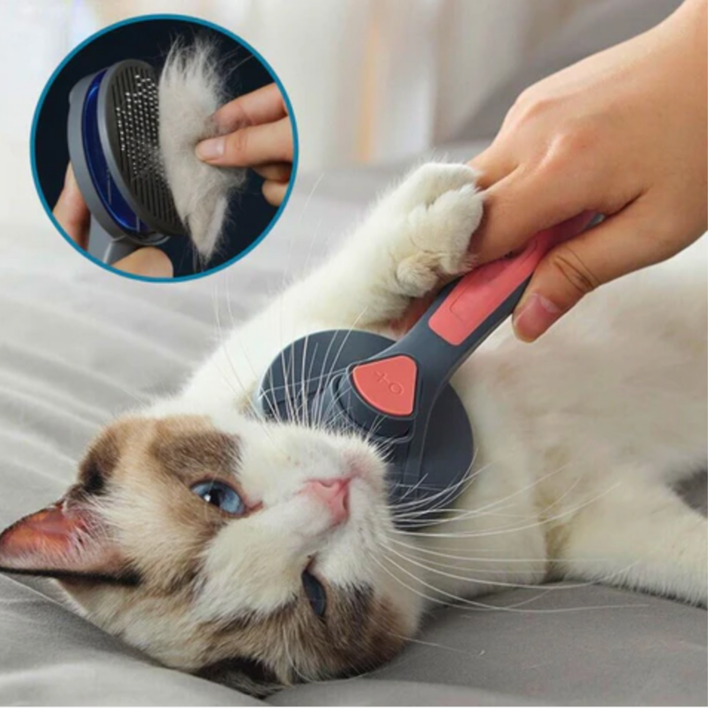 Brosse pour chat