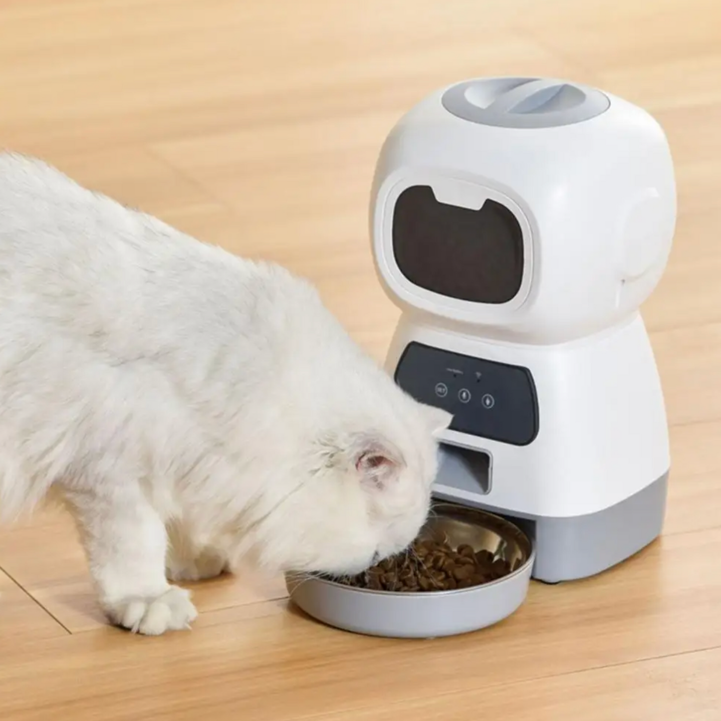 Distributeur de croquettes pour chat