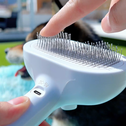 Brosse Vapeur Animaux