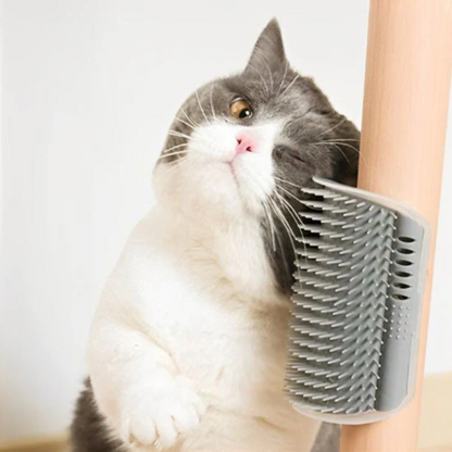 Brosse murale chat