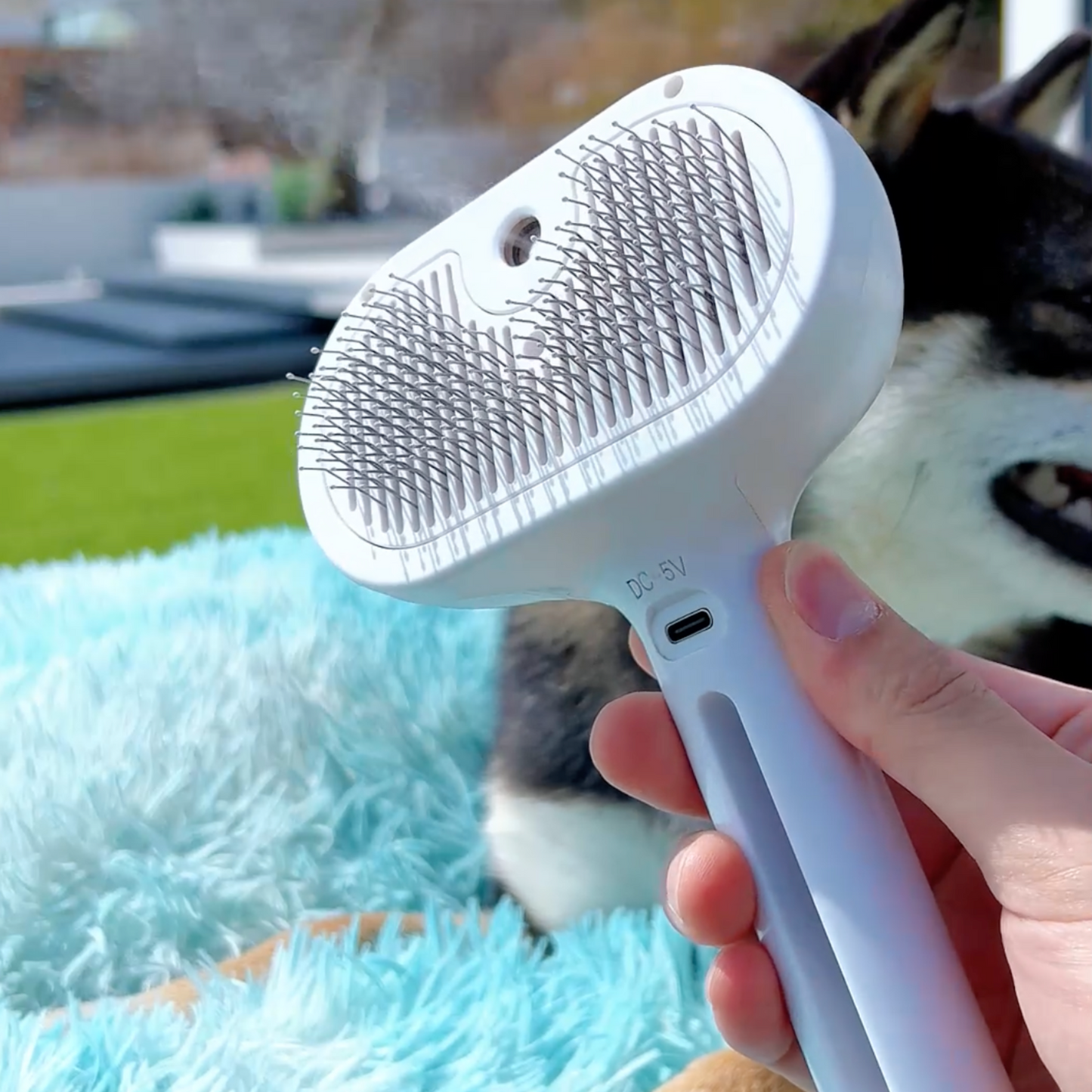 Brosse Vapeur Animaux
