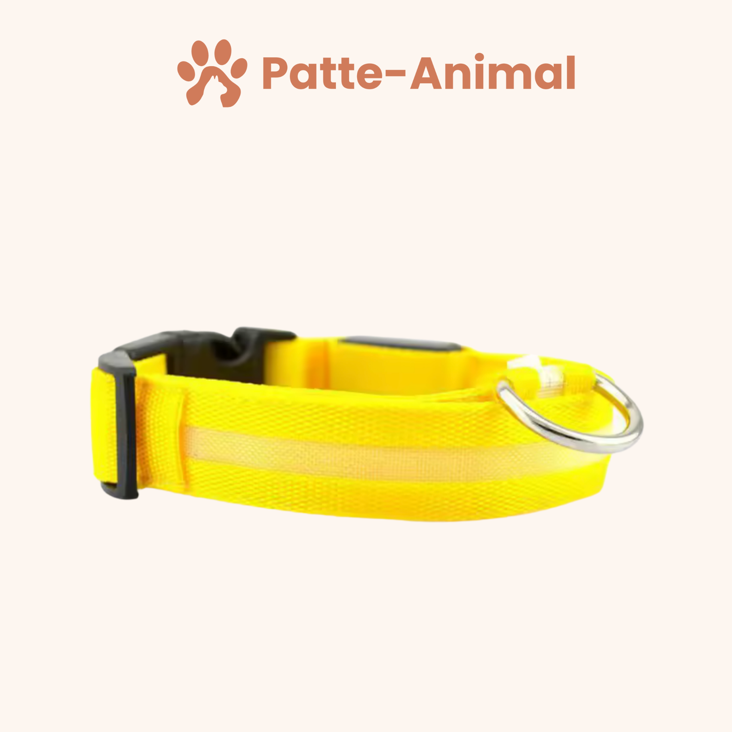 Collier Lumineux chien