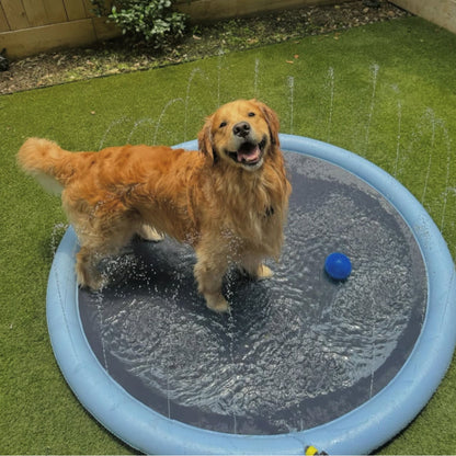 Piscine pour chien