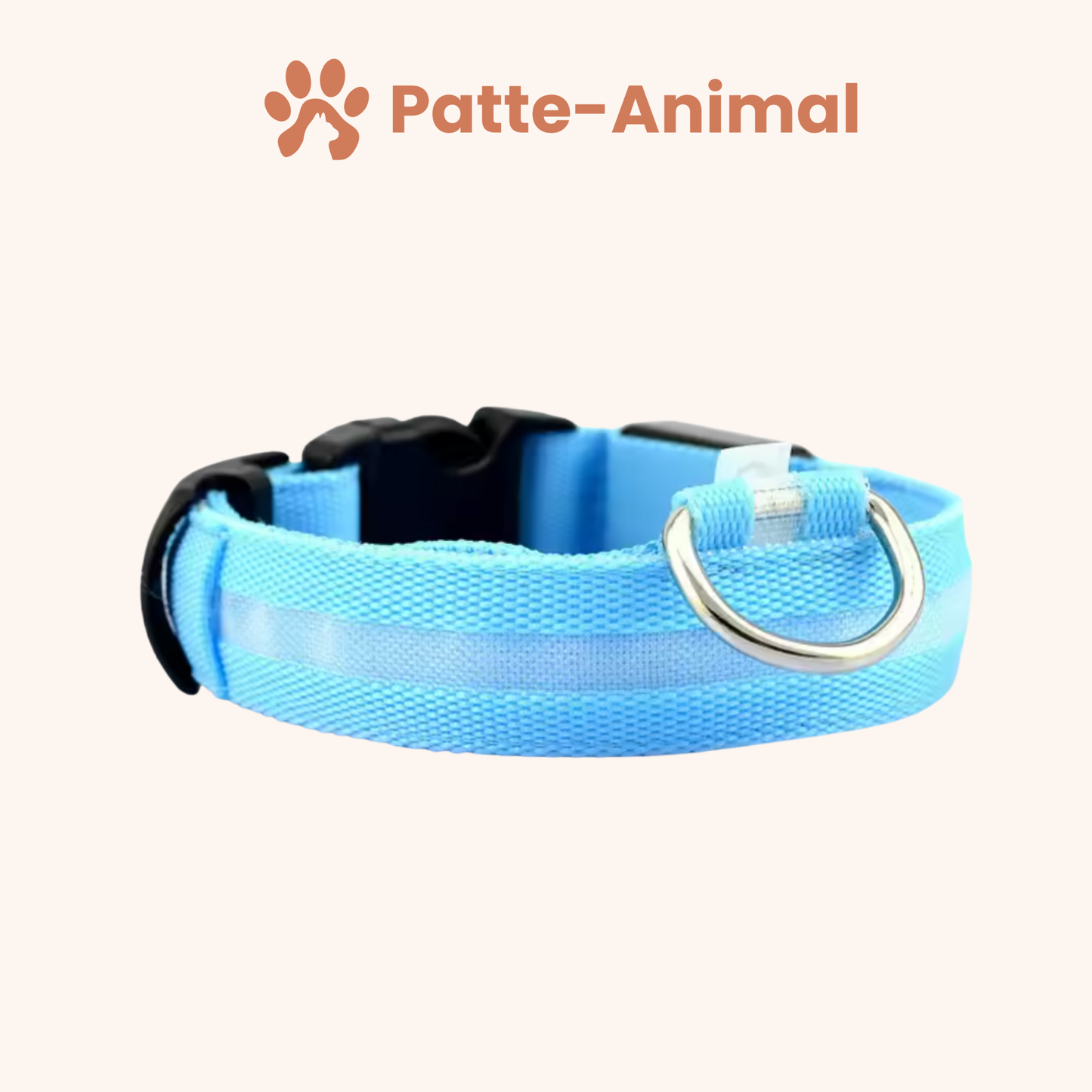 Collier Lumineux chien