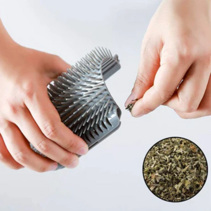 Brosse murale chat