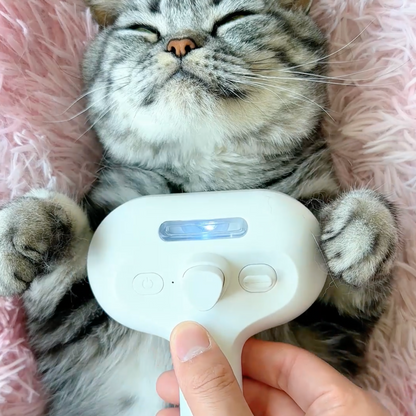 Brosse Vapeur Animaux