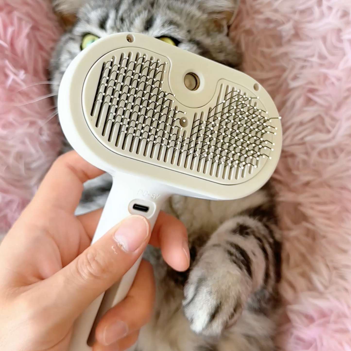 Brosse Vapeur Animaux