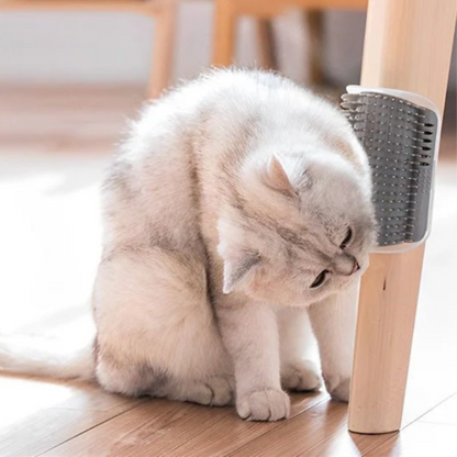 Brosse murale chat