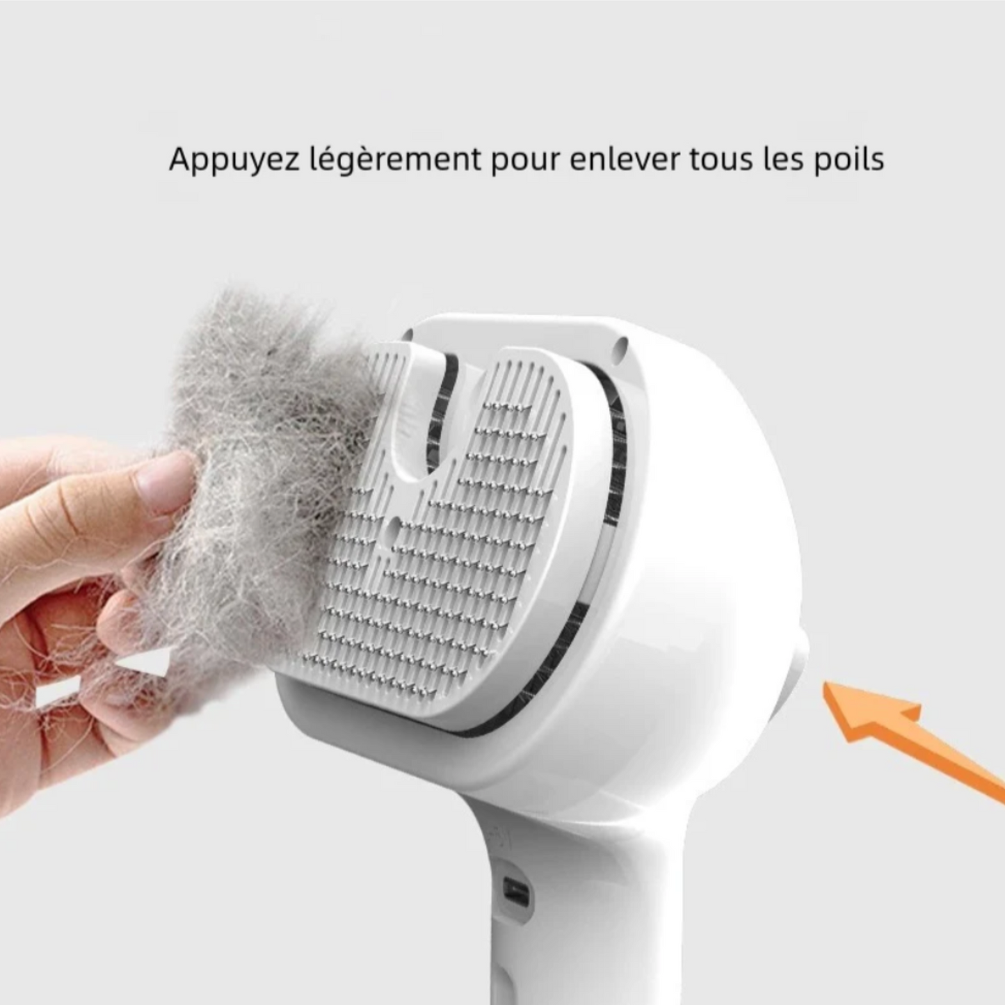 Brosse Vapeur Animaux