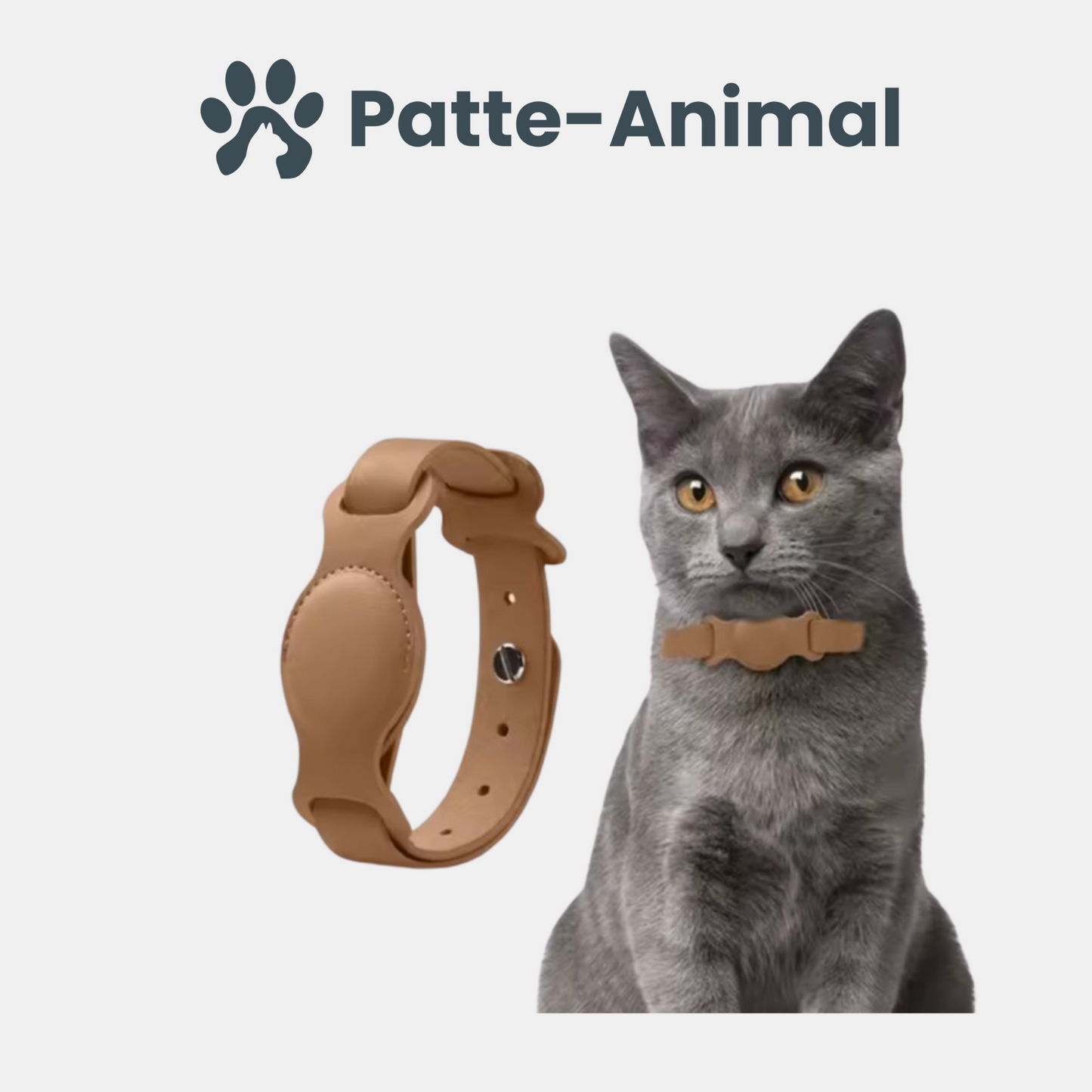 Collier chat Airtag