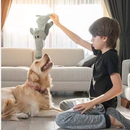 Jouet pour chien - Peluche pour chien indestructible