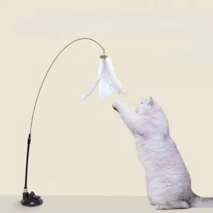 Jouet pour chat - Plume ventouse