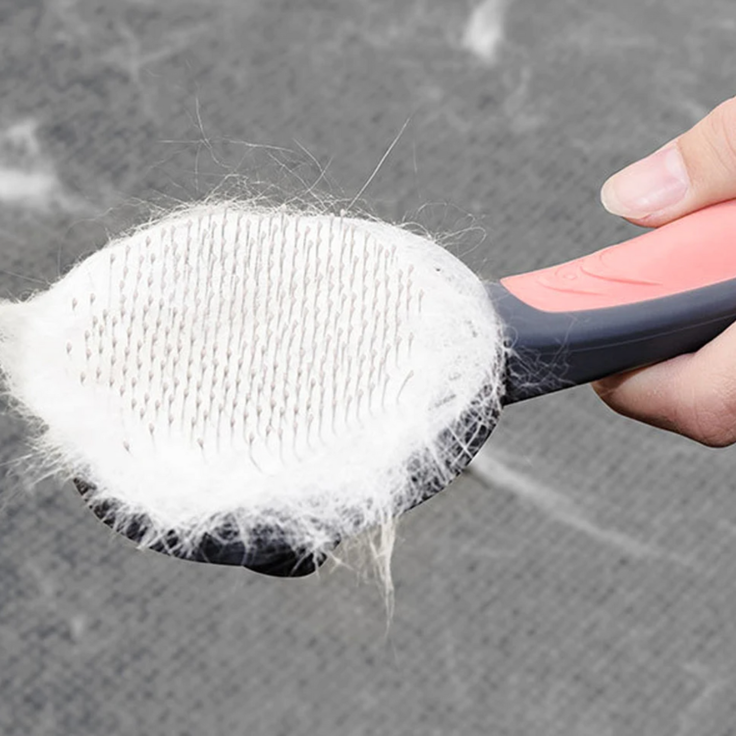 Brosse pour chat