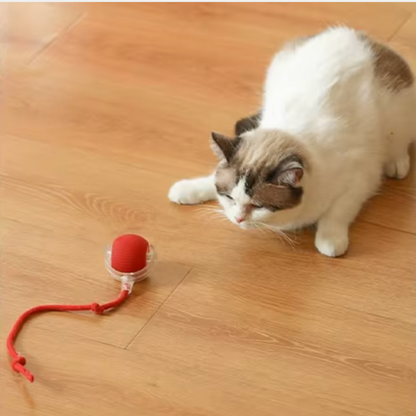 Jouet pour chat - Balle magique