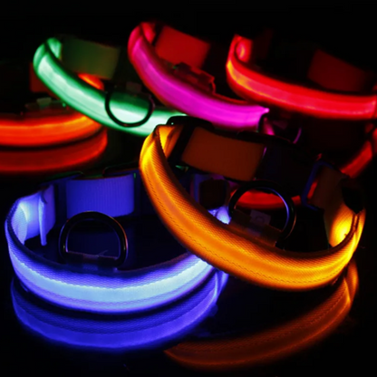 Collier Lumineux chien