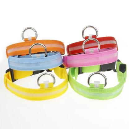 Collier Lumineux chien