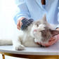 Brosse pour chat