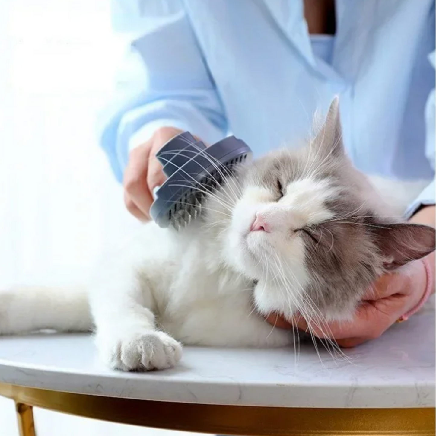 Brosse pour chat