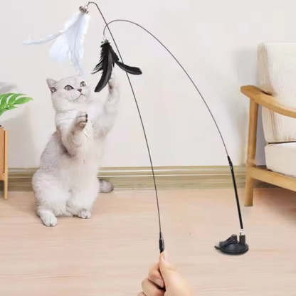 Jouet pour chat - Plume ventouse