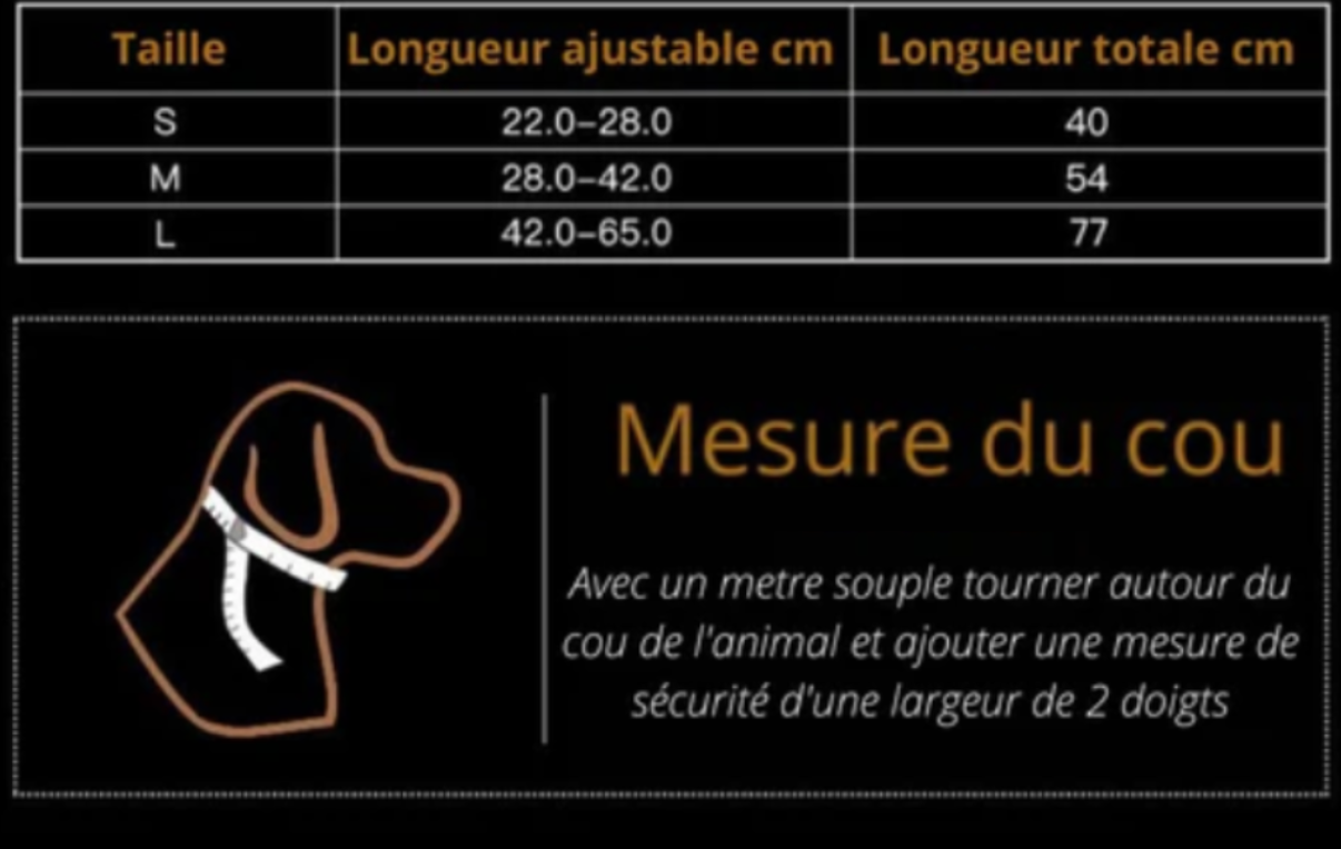 Collier chien Airtag