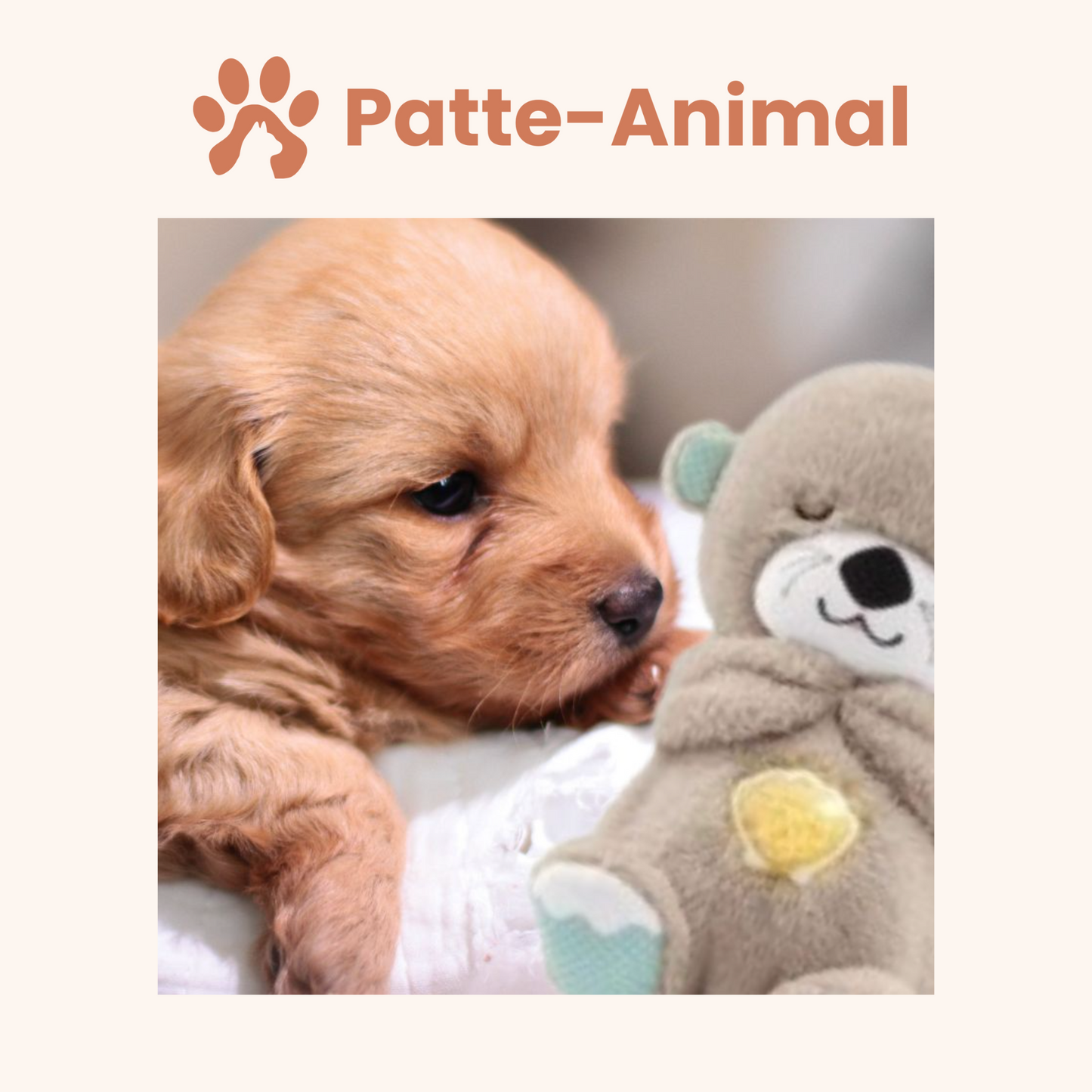 Peluche Câline Anti-Stress pour Chien – Battements de cœur apaisants