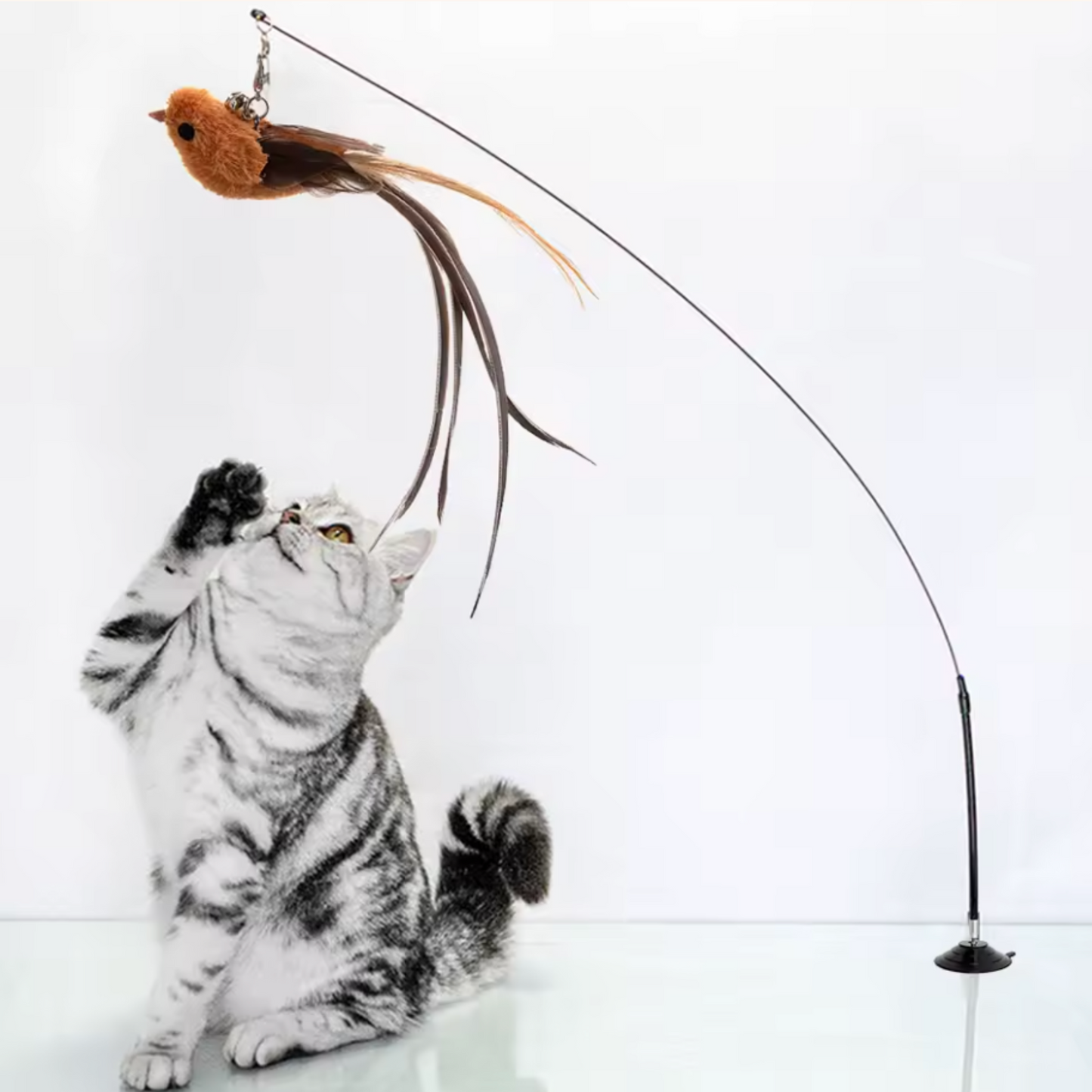 Jouet pour chat - Plume ventouse