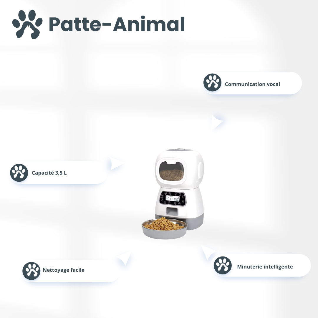Distributeur de croquettes pour chat