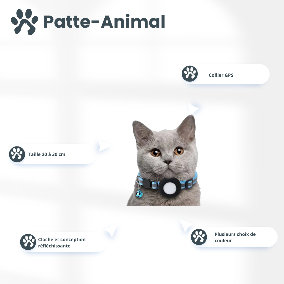 Collier gps chat
