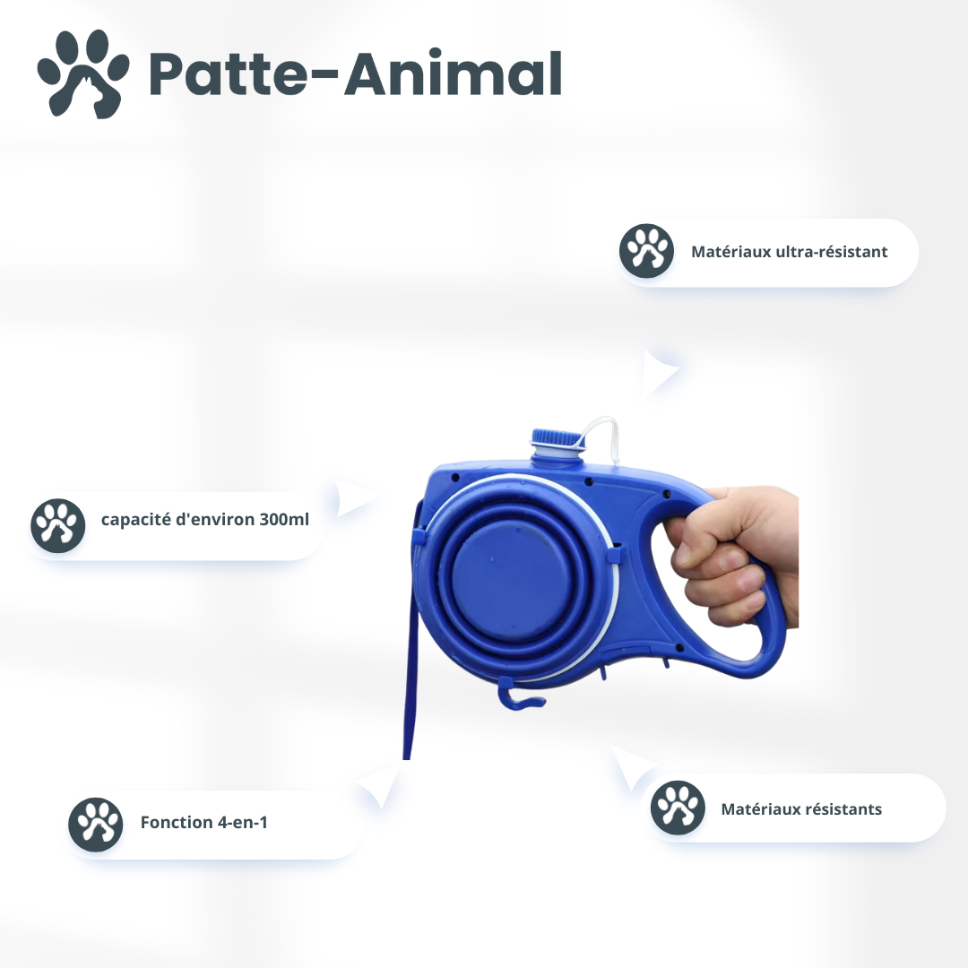 Laisse pour chien